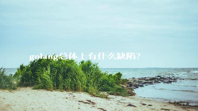 golang总体上有什么缺陷？