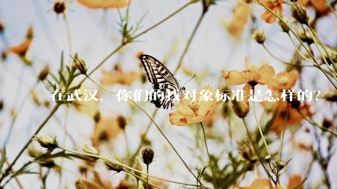 在武汉，你们的找对象标准是怎样的？