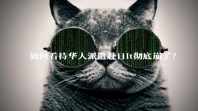 如何看待华人派遣赴日it彻底崩了？